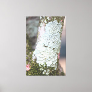 Colourful Nature Canvas Print