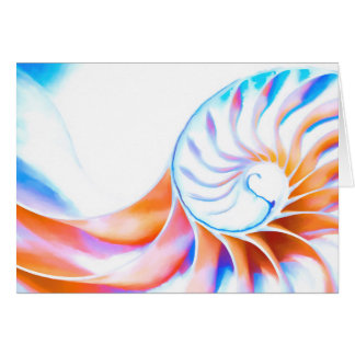 Colourful Nautilus