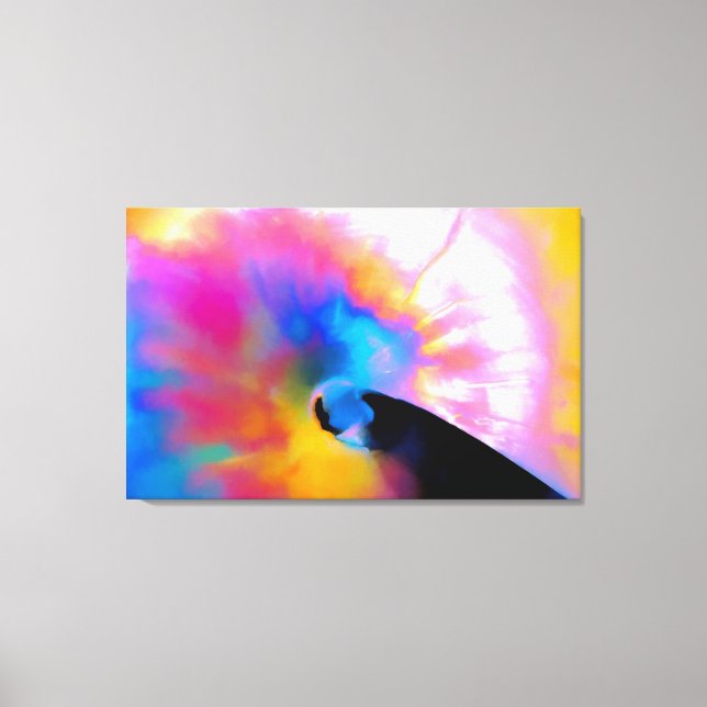 Colourful Nautilus Canvas Print (Front)