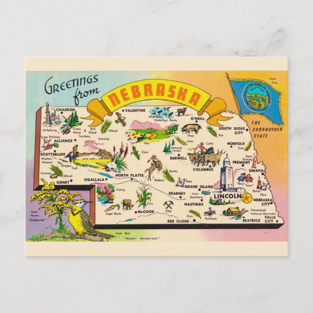 Colourful Nebraska Map Postcard (Front)