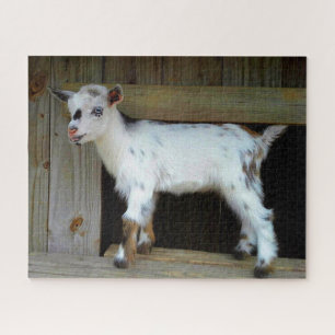 Colourful Nigerian Dwarf Goat with Blue Eyes Jigsaw Puzzle