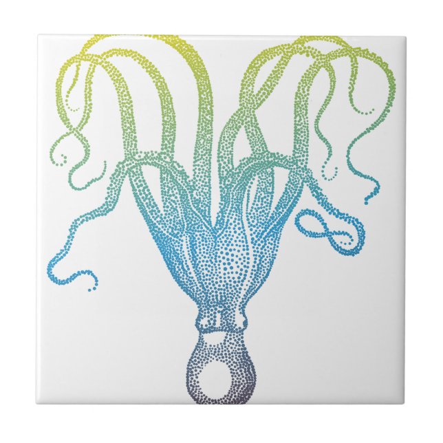 colourful octopus silhouette tile (Front)