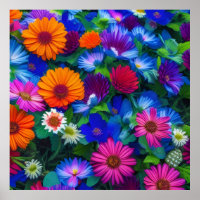 Colourful Orange Blue and Red Flowers
