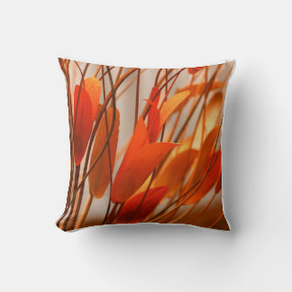 Colourful Orange  Cushion