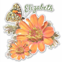 Colourful Orange Flowers and Butterfly Sticker
