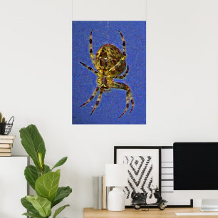 Colourful Orb Spider Poster