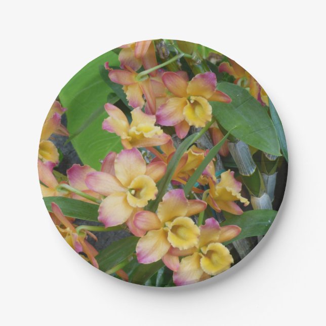 Colourful Orchids Paper Plates (Front)