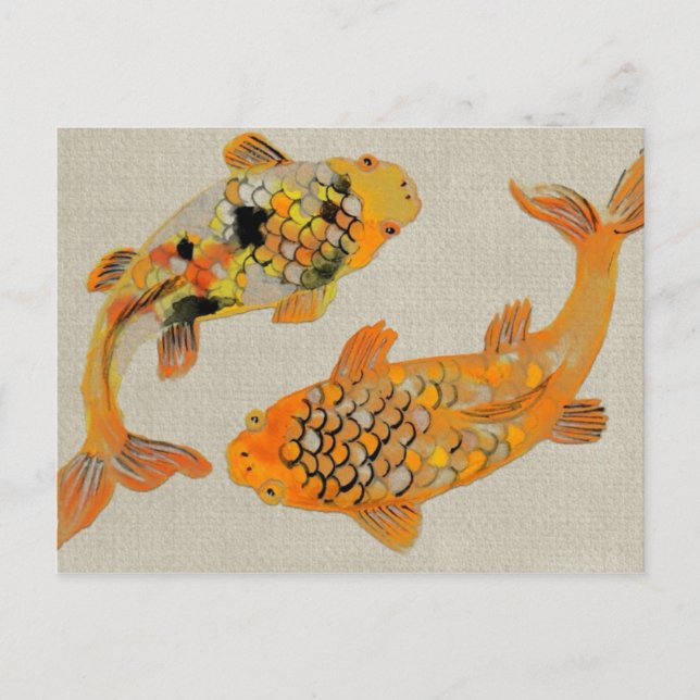 Colourful Ornamental Koi Fish Swimming Postcard (Front)