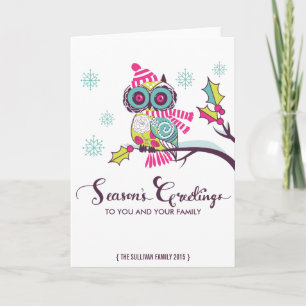 Colourful Owl and Snowflakes Holiday Card