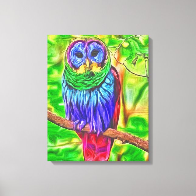 Colourful Owl  Canvas Print (Front)