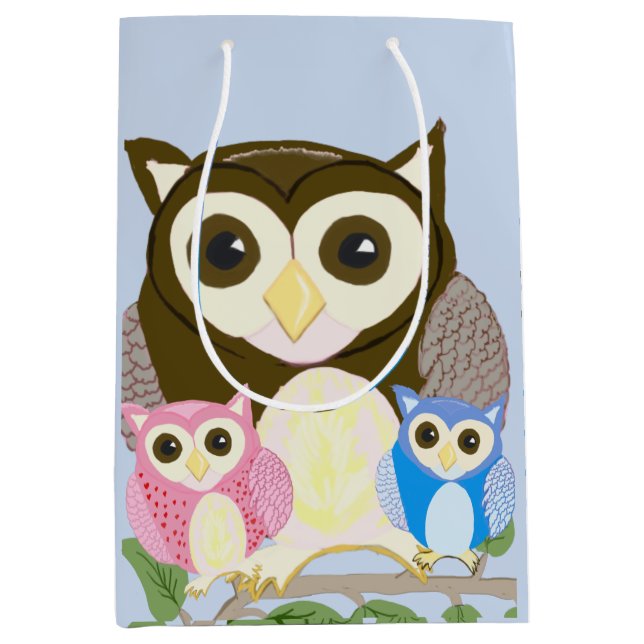 Colourful Owl  Medium Gift Bag (Front)