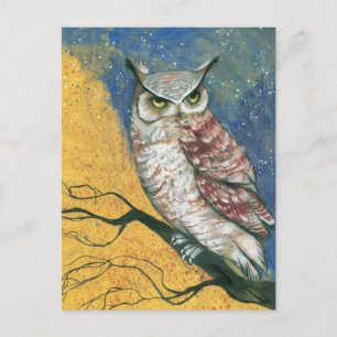colourful owl postcard