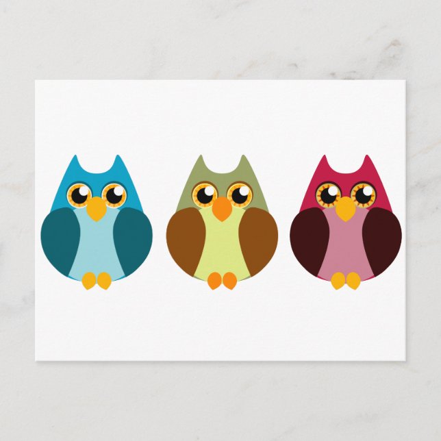 Colourful Owl Trio Postcard (Front)