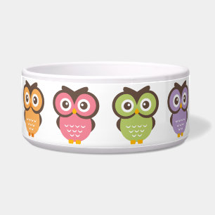 Colourful Owls