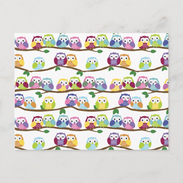 Colourful owls on a branch postcard (Front)