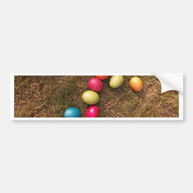 Colourful Painted Eggs in Garden, Easter Egg Bumper Sticker (Front)