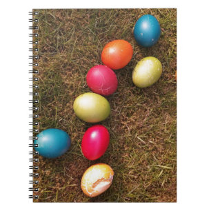 Colourful Painted Eggs in Garden, Easter Egg Spiral Notebook