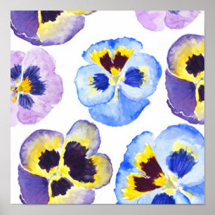Colourful pansies collection watercolor painting  poster