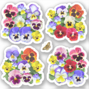 Colourful Pansies Contour