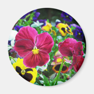 Colourful Pansies Magnet
