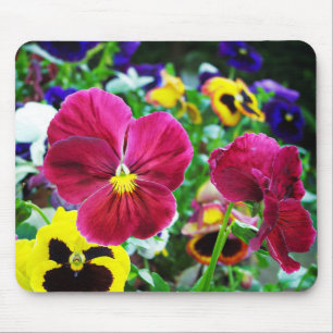 Colourful Pansies Mouse Pad