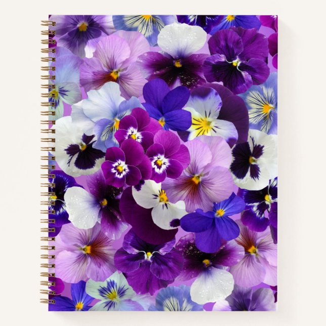 Colourful Pansies, Pretty Flowers, Notebook (Front)