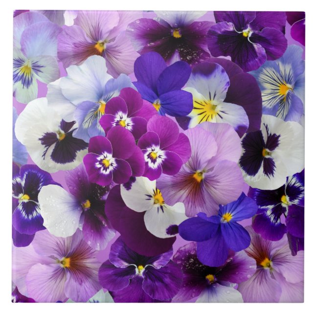 Colourful Pansies, pretty flowers, Tile (Front)