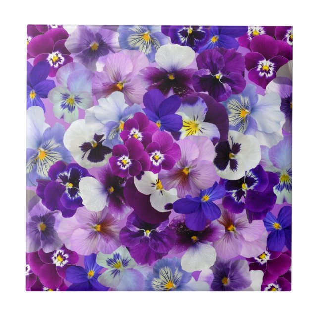 Colourful Pansies, Pretty Flowers, Tile (Front)