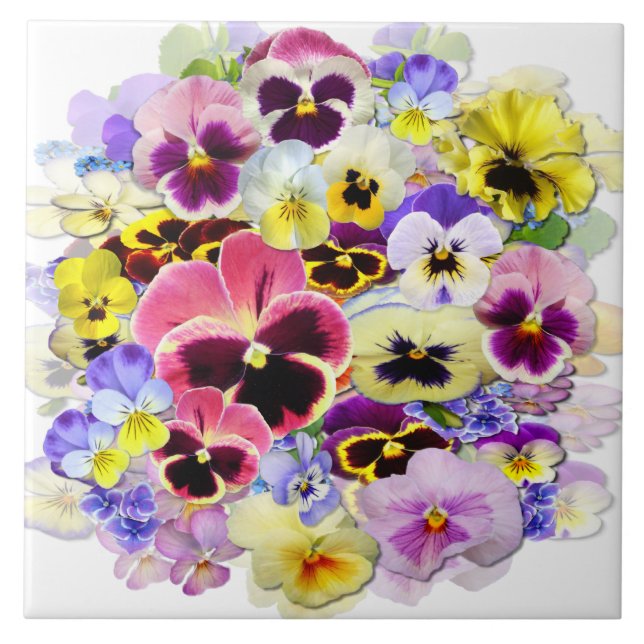 Colourful Pansies Tile (Front)