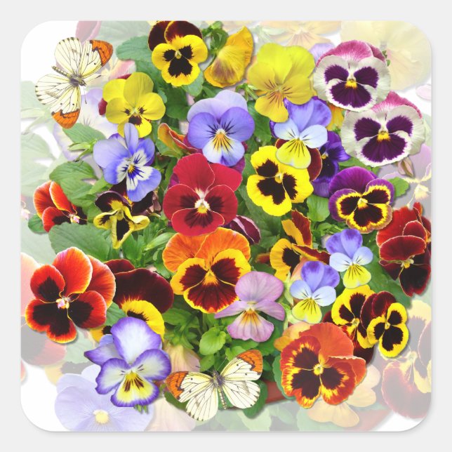 Colourful Pansy Arrangement with Butterflies Squar Square Sticker (Front)