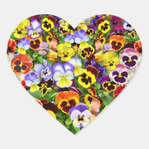 Colourful Pansy Display Heart Heart Sticker