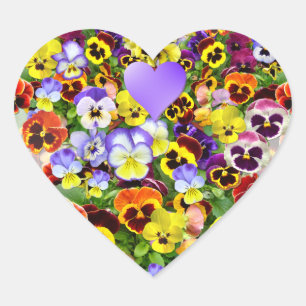 Colourful Pansy Display Heart Sticker