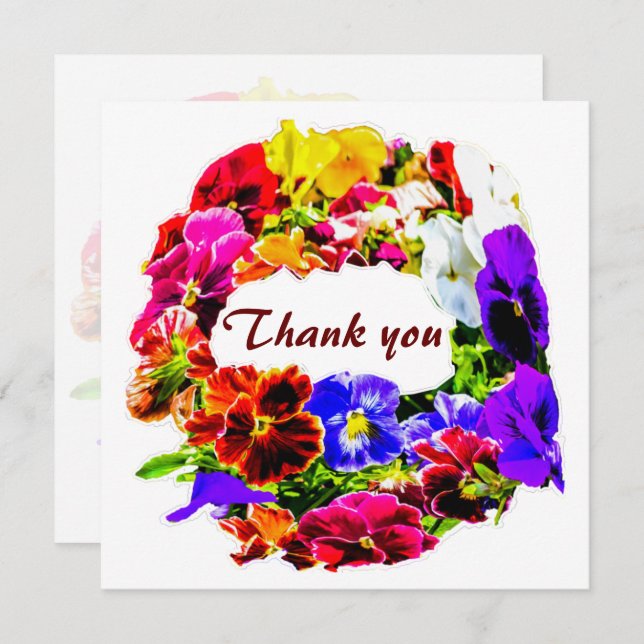 Colourful Pansy Flowers (Front/Back)