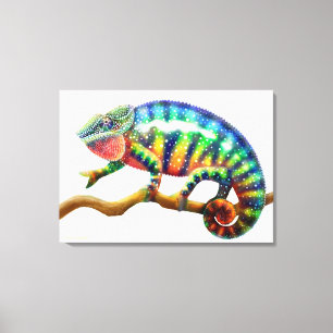Colourful Panther Chameleon Lizard Wrapped Canvas