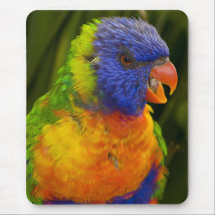 Colourful parakeet mouse pad