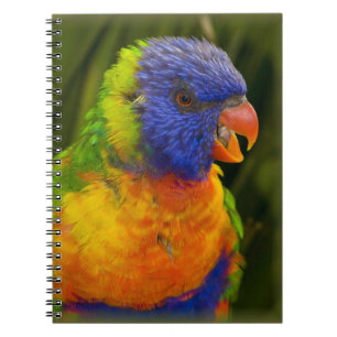 Colourful parakeet notebook