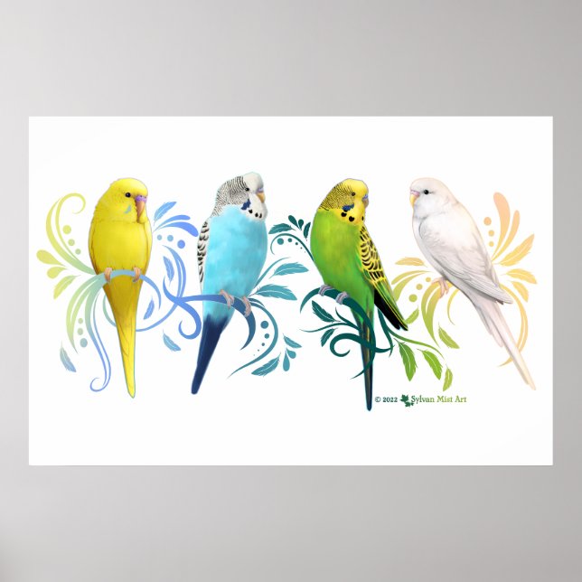 Colourful Parakeets Poster (Front)