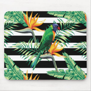 Colourful Parrot And Bird Of Paradise Mouse Pad