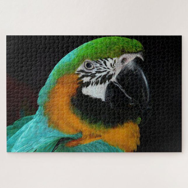 Colourful parrot bird  jigsaw puzzle (Horizontal)