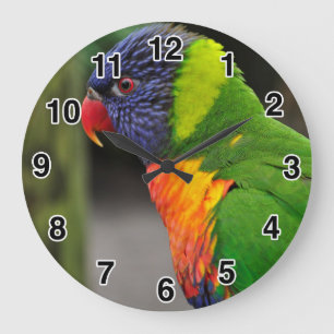 Colourful Parrot Clock