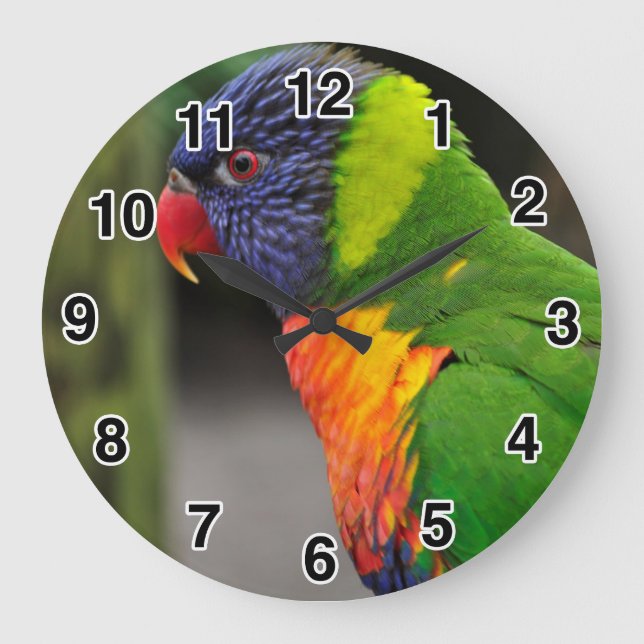 Colourful Parrot Clock (Front)