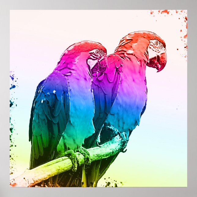 Colourful Parrot Couple Poster (Front)