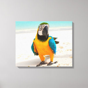 Colourful Parrot on the White Sand Canvas Print
