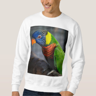 Colourful Parrot Paradise T-Shirt Sweatshirt