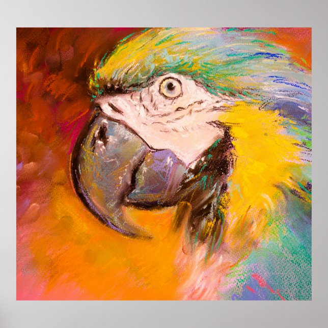 Colourful Parrot Pastel Painting Poster (Front)