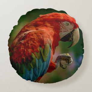 Colourful Parrot Pillow