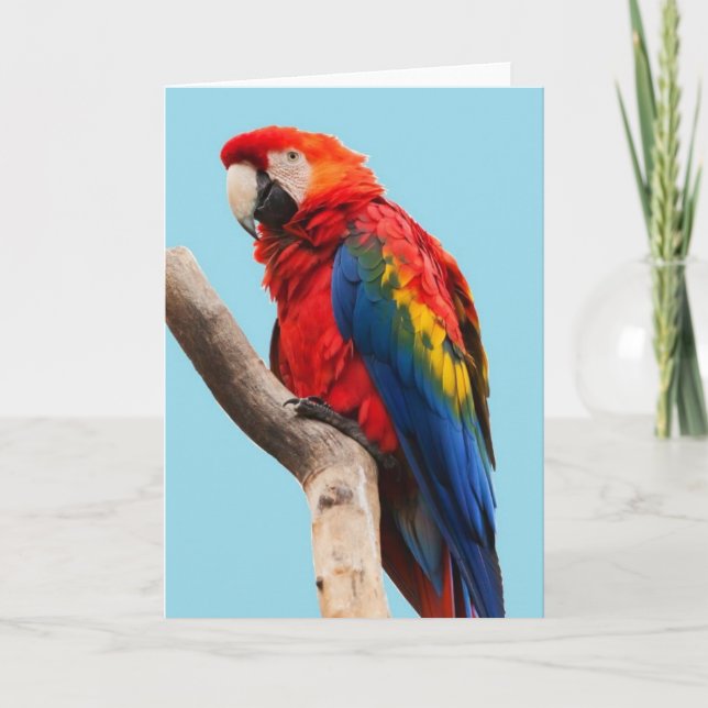 Colourful Parrot Portrait Photo Card (Front)