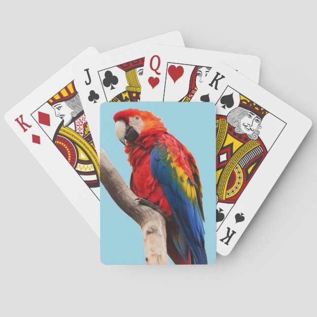 Colourful Parrot Portrait Photo Playing Cards (Back)