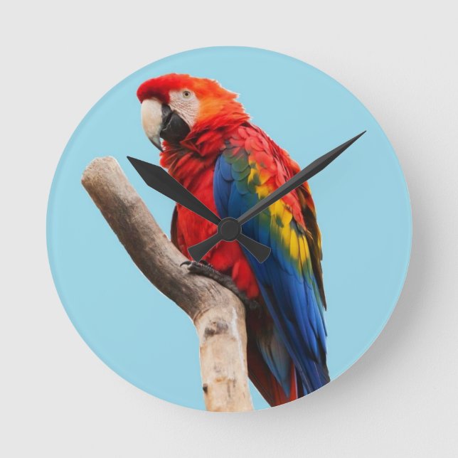 Colourful Parrot Portrait Photo Round Clock (Front)