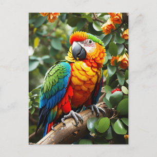 Colourful Parrot Postcard